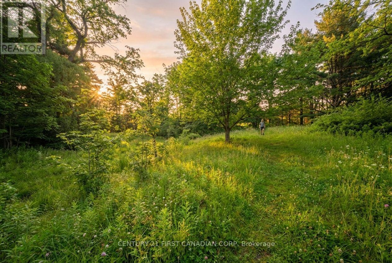 24 Campbell Farm Road, Brant, Ontario  N3T 5L6 - Photo 28 - X12815490