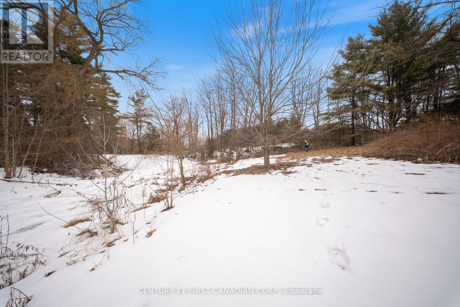 24 Campbell Farm Road, Brant, Ontario  N3T 5L6 - Photo 29 - X12815490