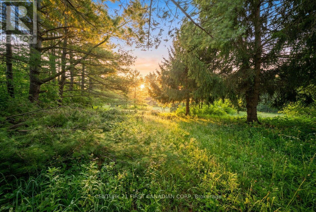 24 Campbell Farm Road, Brant, Ontario  N3T 5L6 - Photo 34 - X12815490