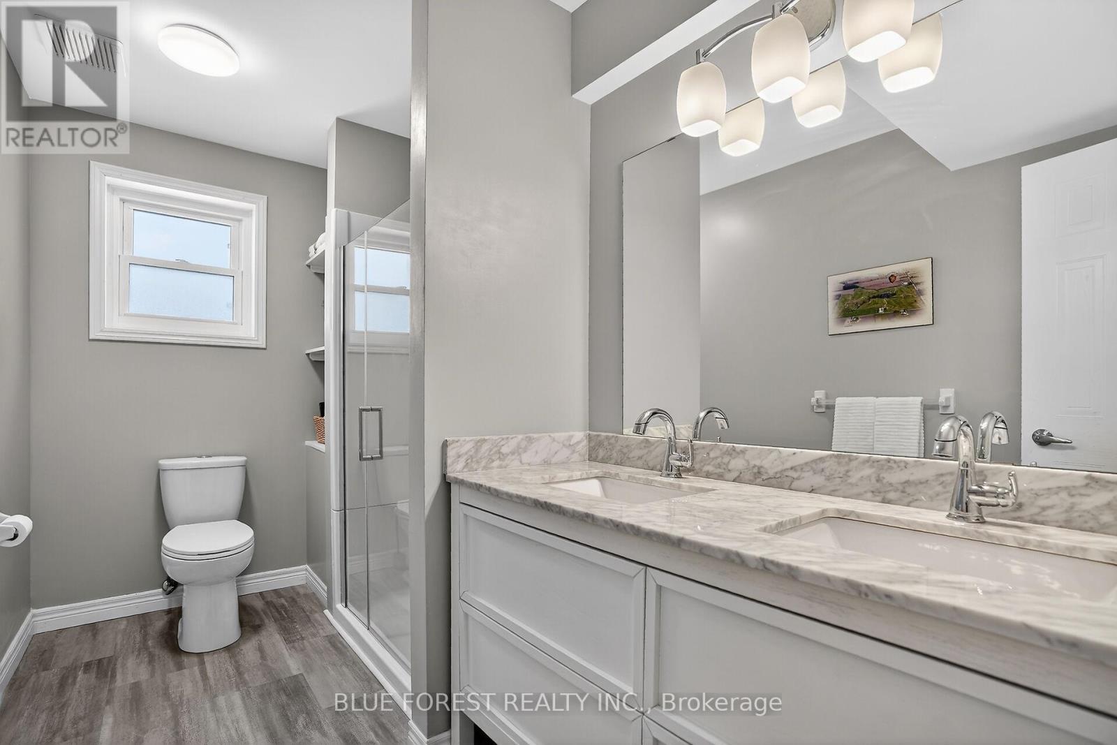 250 Alder Road, Ingersoll, Ontario  N5C 3Z2 - Photo 27 - X12848502