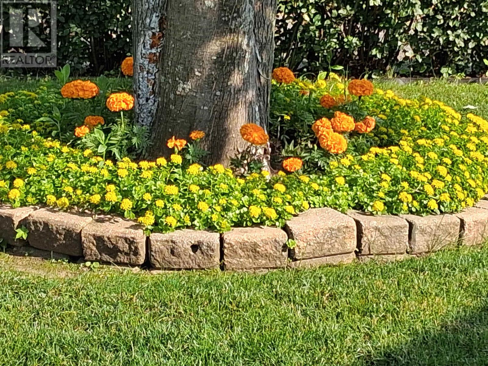 467 Sycamore Pl, Thunder Bay, Ontario  P7C 1X3 - Photo 49 - TB2600292