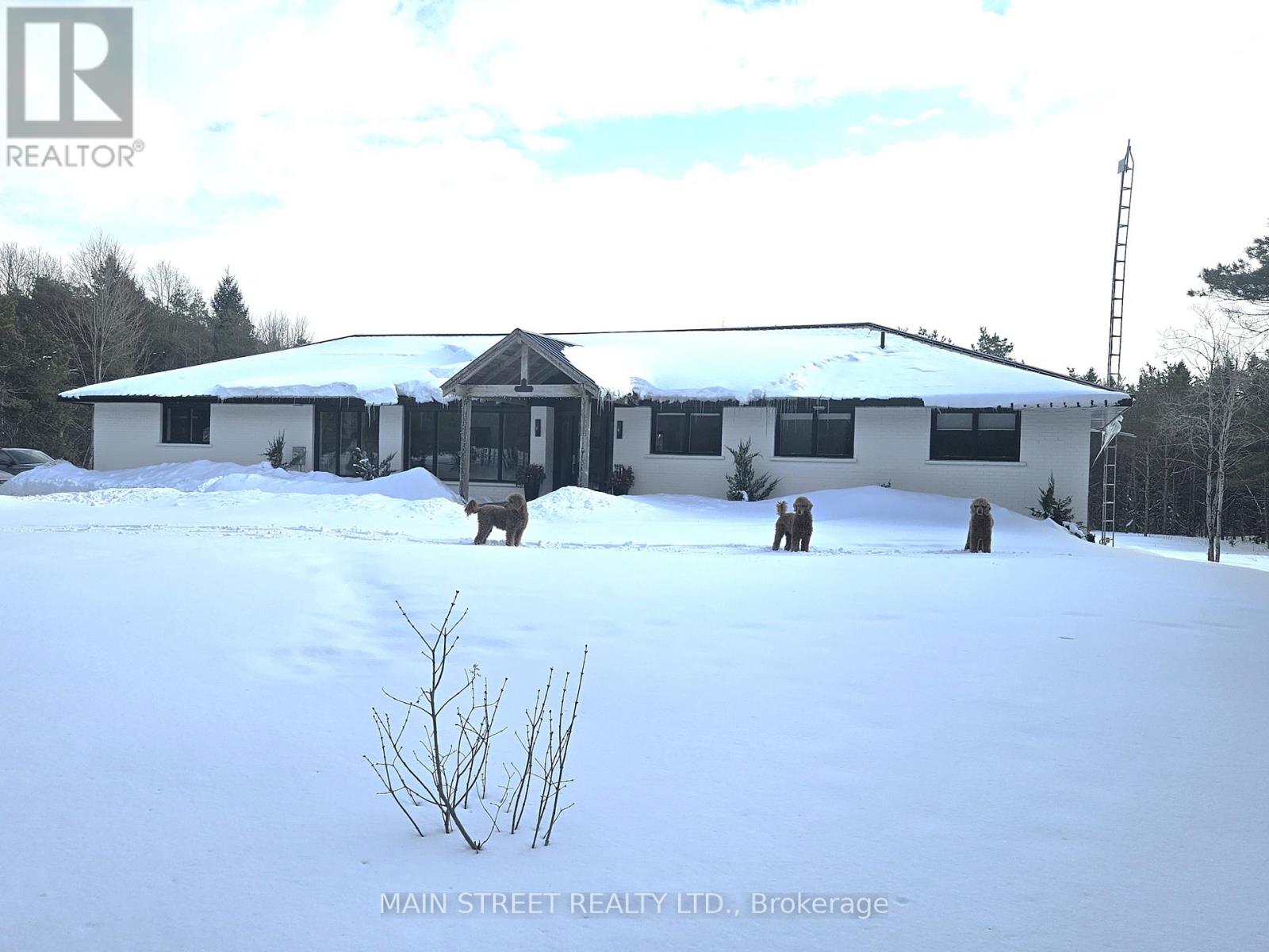 4730 Devitts Road, Scugog, Ontario  L0B 1B0 - Photo 2 - E12842892