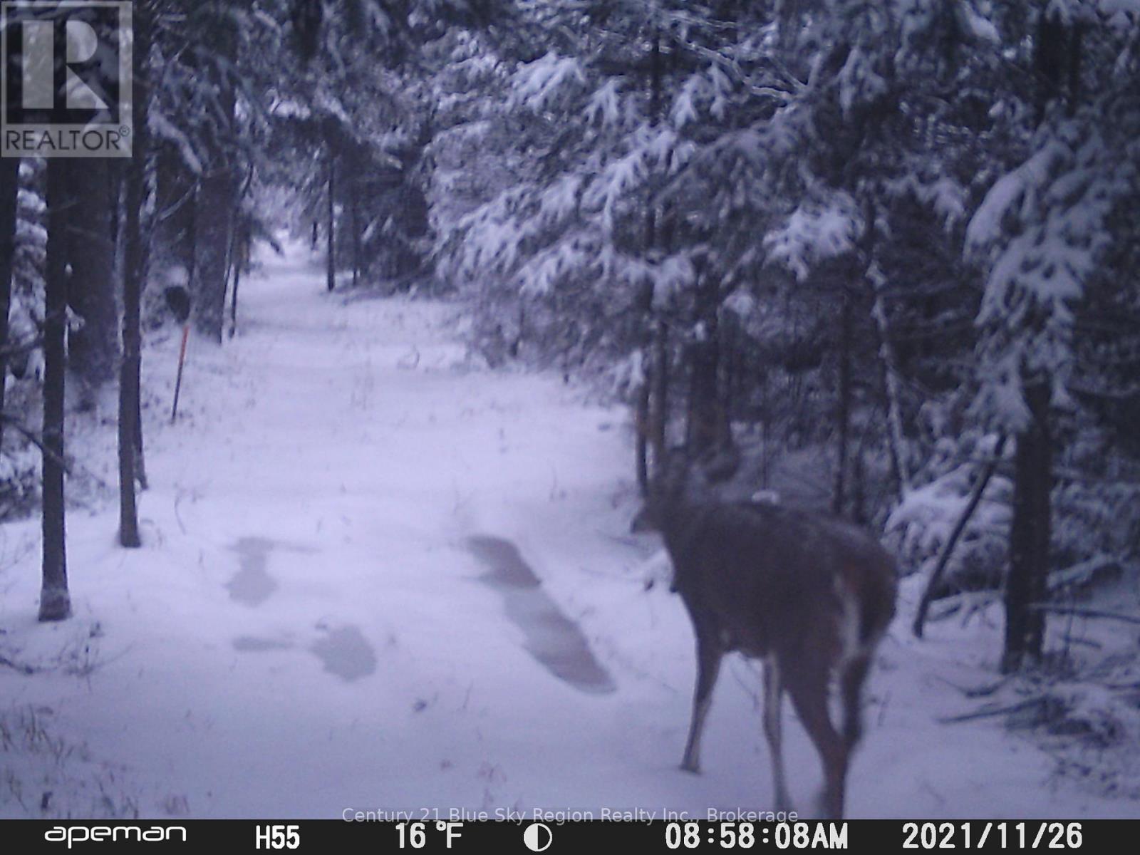 320 Crystal Falls Road, West Nipissing, Ontario  P0H 1L0 - Photo 35 - X12847798