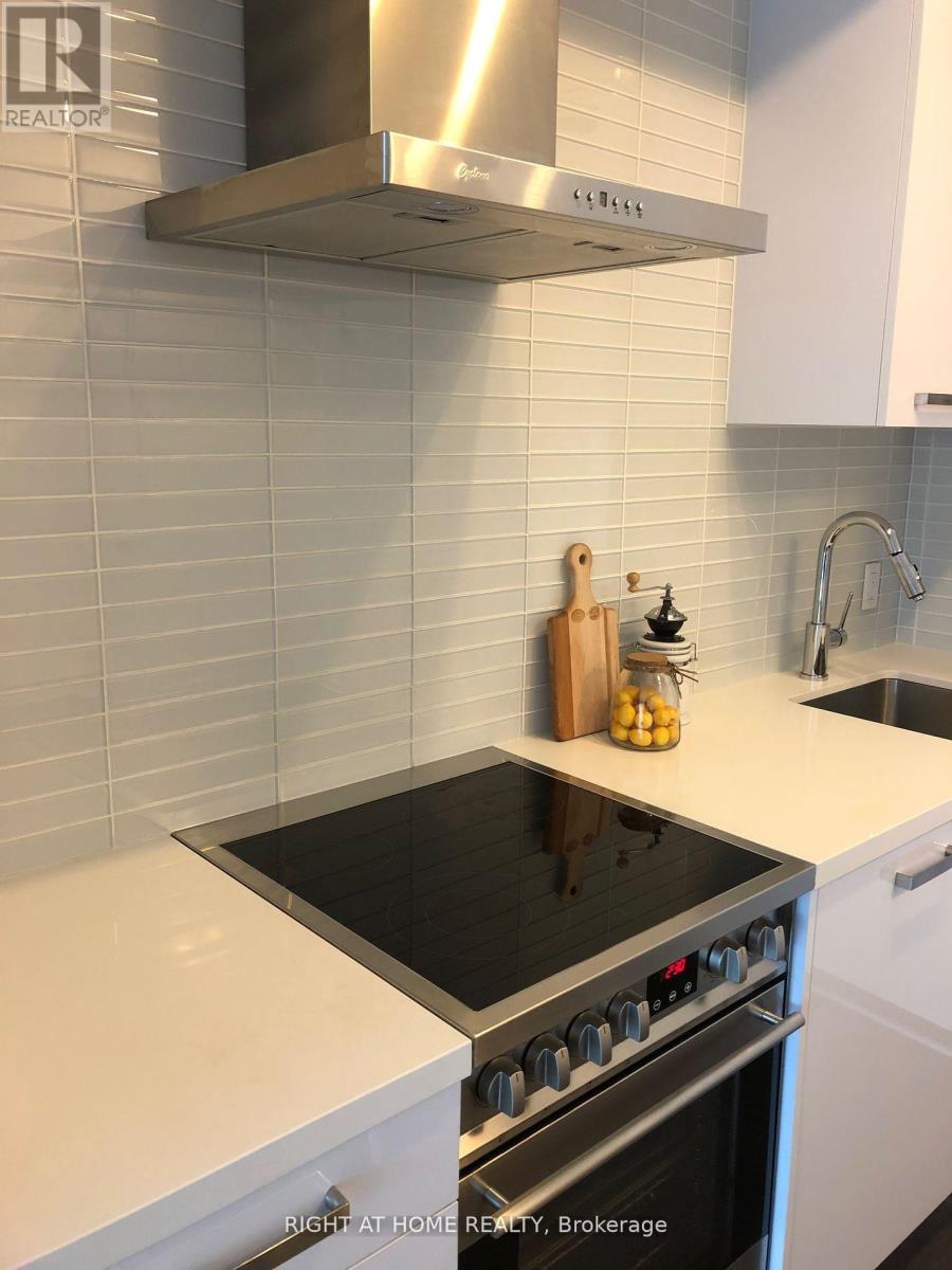 N306 - 455 Front Street E, Toronto, Ontario  M5A 0G2 - Photo 5 - C12848500