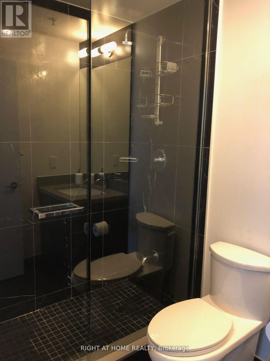 N306 - 455 Front Street E, Toronto, Ontario  M5A 0G2 - Photo 9 - C12848500