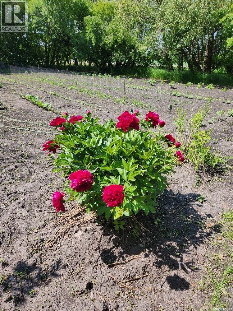 101 Doepker Avenue, Annaheim, Saskatchewan  S0K 0G0 - Photo 46 - SK029733