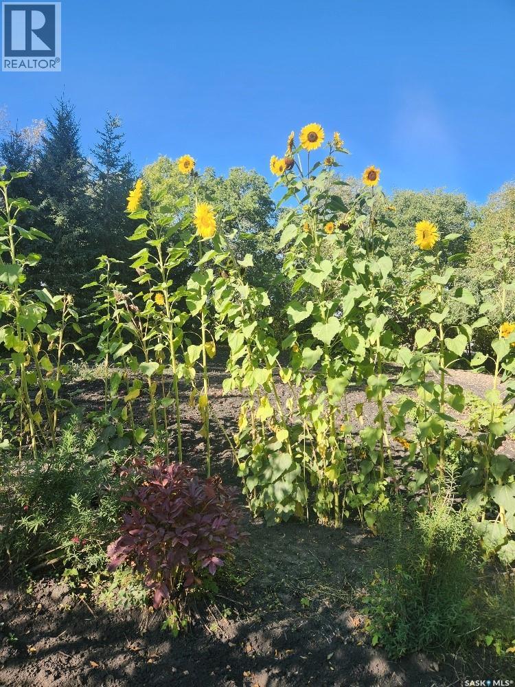 101 Doepker Avenue, Annaheim, Saskatchewan  S0K 0G0 - Photo 47 - SK029733