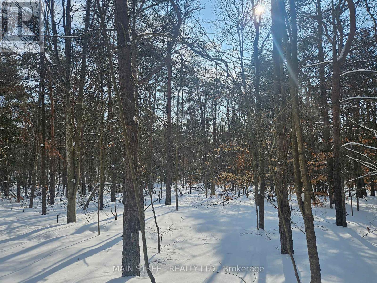 4730 Devitts Road, Scugog, Ontario  L0B 1B0 - Photo 38 - E12842892