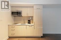 720 E - 576 Front Street W, Toronto, Ontario  M5V 1C1 - Photo 5 - C12848918