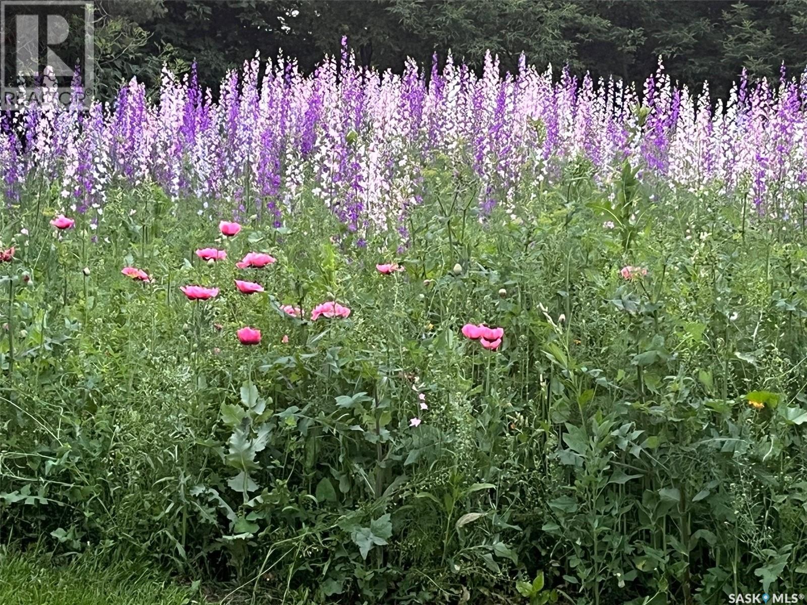 441 2nd Avenue, Benson Rm No. 35, Saskatchewan  S0C 0L0 - Photo 49 - SK029770