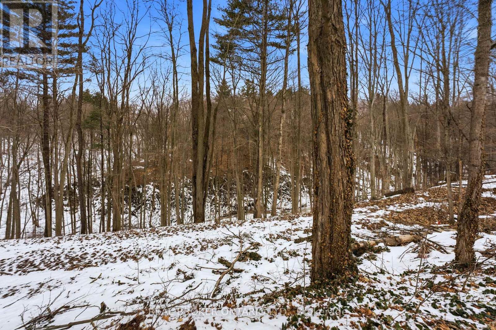 10475 Plank Road, Bayham, Ontario  N0J 1H0 - Photo 35 - X12848674