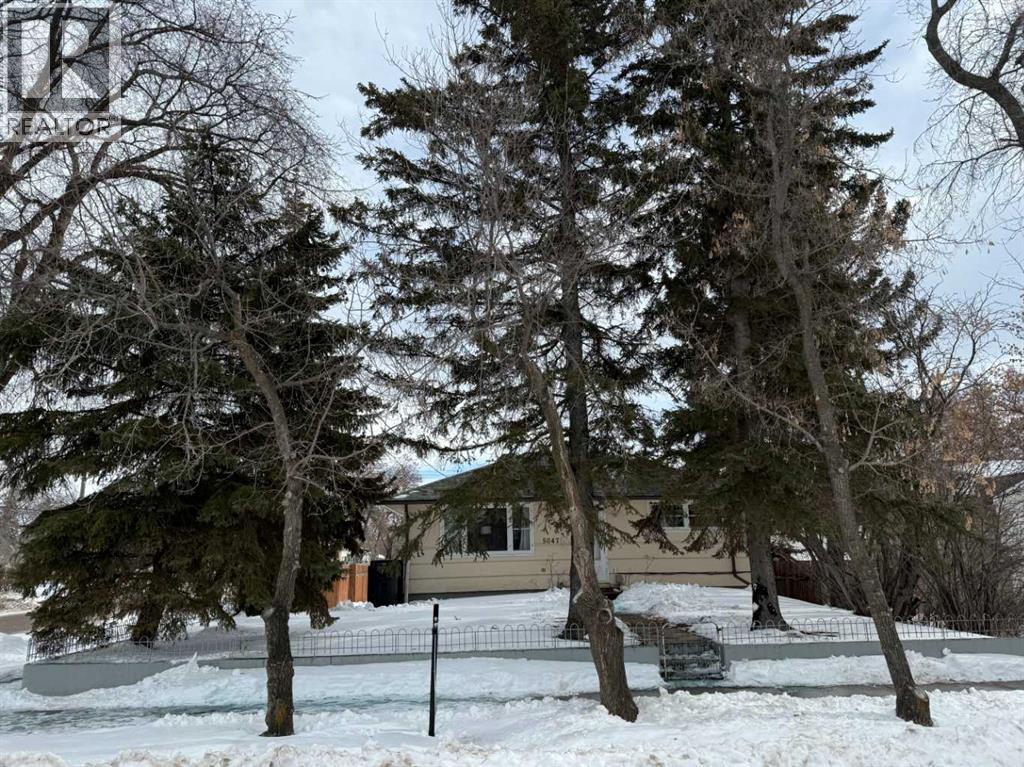 5047 51 Street, Mannville, Alberta  T0B 2W0 - Photo 1 - A2258346