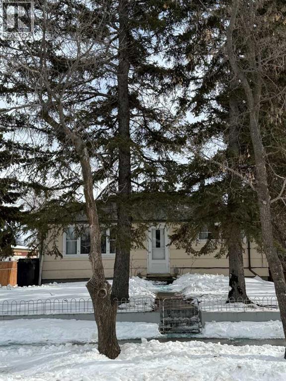 5047 51 Street, Mannville, Alberta  T0B 2W0 - Photo 3 - A2258346