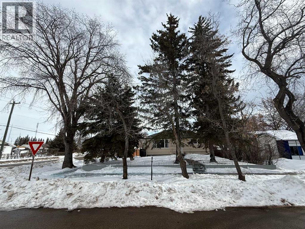 5047 51 Street, Mannville, Alberta  T0B 2W0 - Photo 2 - A2258346