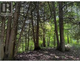 Lot 20 High Falls Road, Assiginack, Ontario