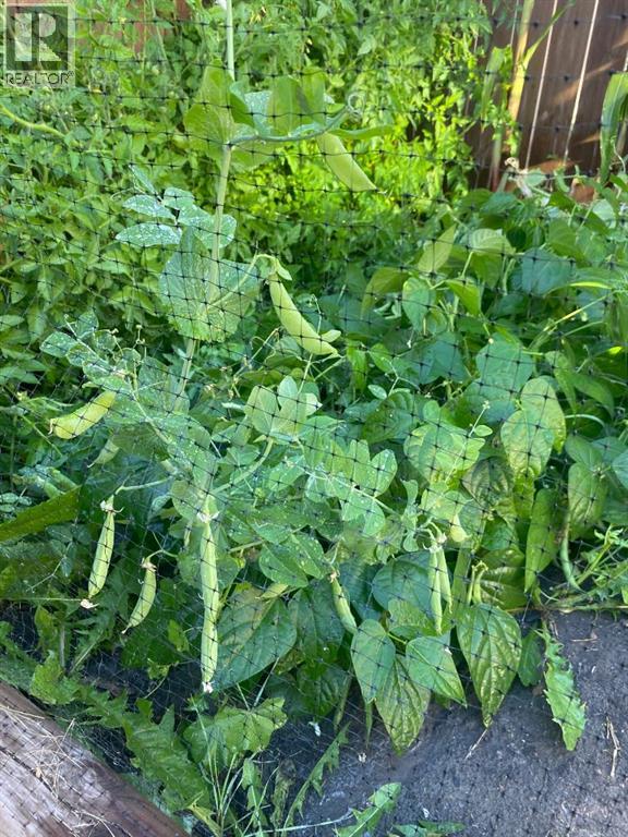 171 Kinniburgh Road, Chestermere, Alberta  T1X 0T8 - Photo 38 - A2283811