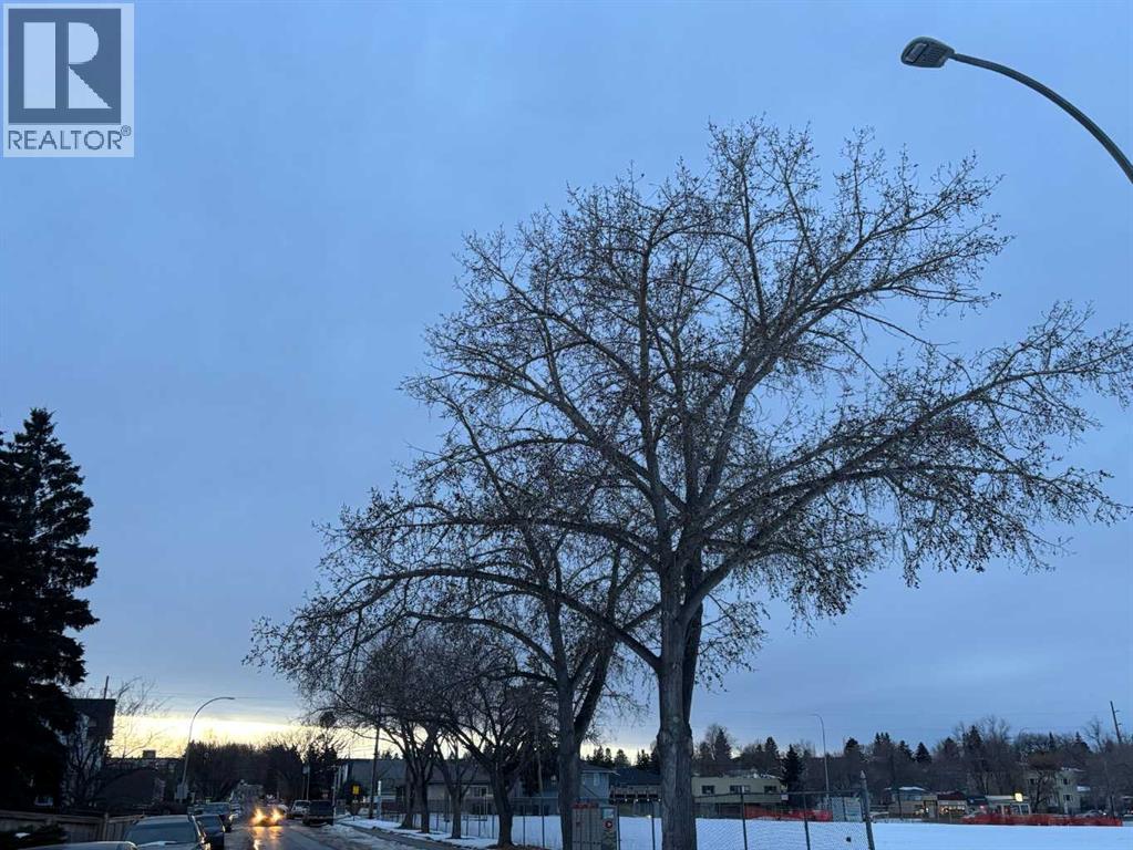 133 28 Avenue Ne, Calgary, Alberta  T2E 2A9 - Photo 45 - A2284073