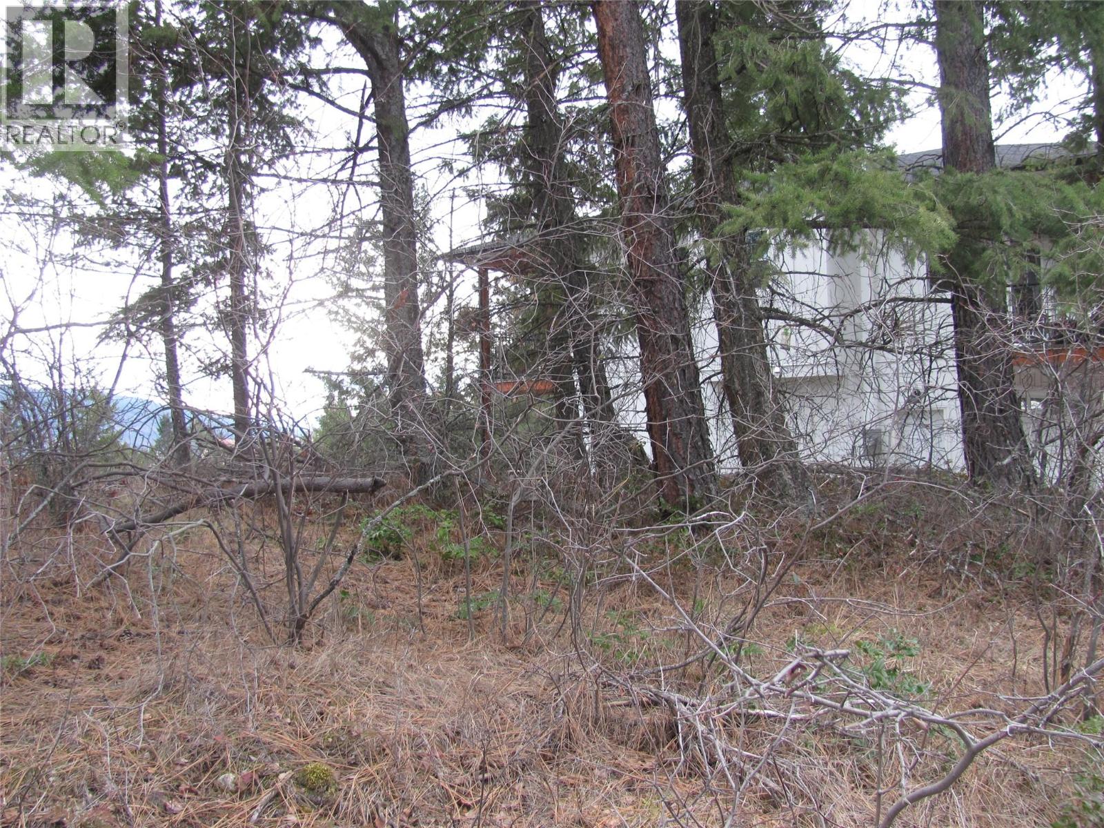 Crown Crescent Lot# 252, Vernon, British Columbia  V1B 4A2 - Photo 4 - 10377402