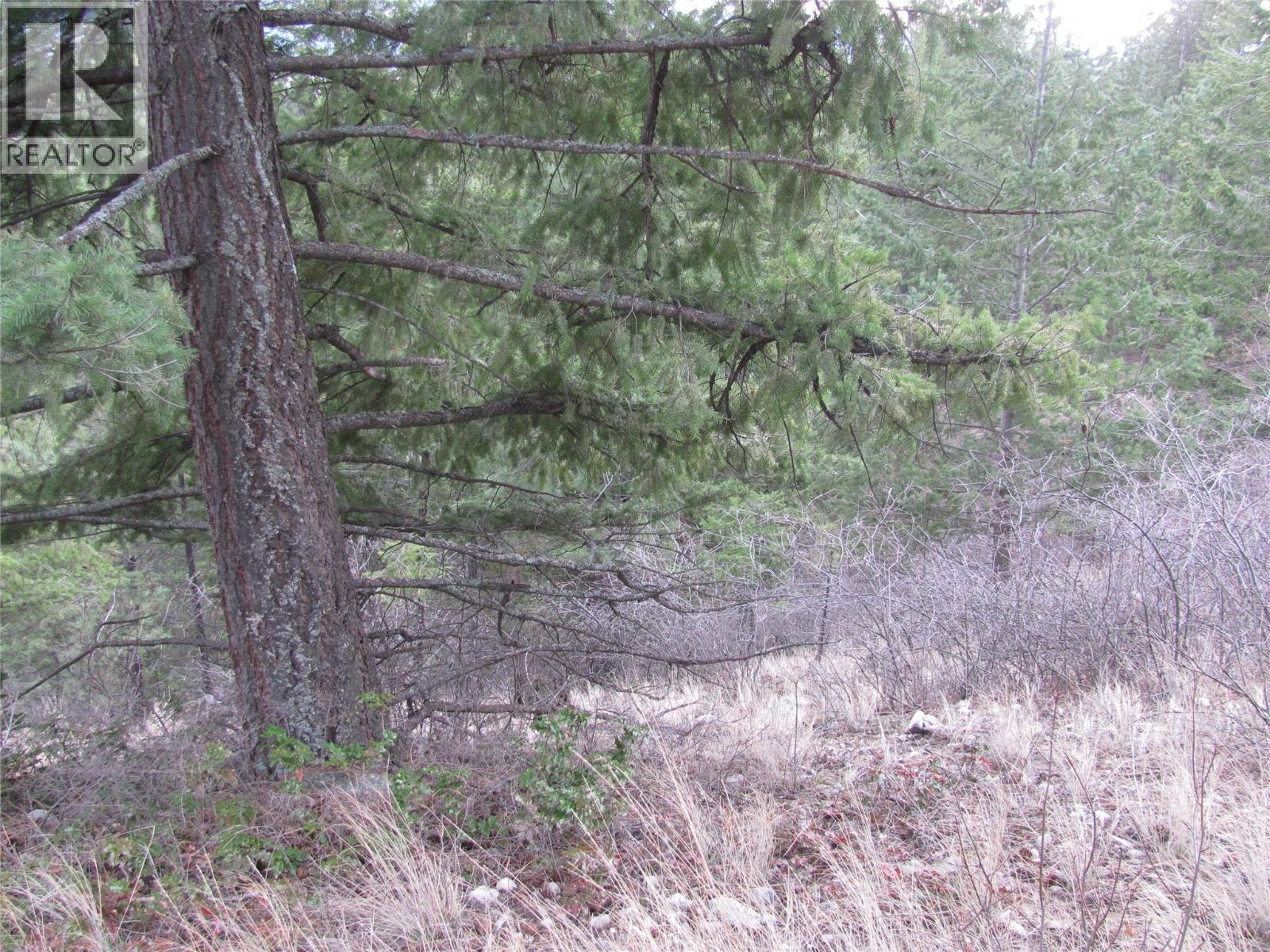 Crown Crescent Lot# 252, Vernon, British Columbia  V1B 4A2 - Photo 17 - 10377402