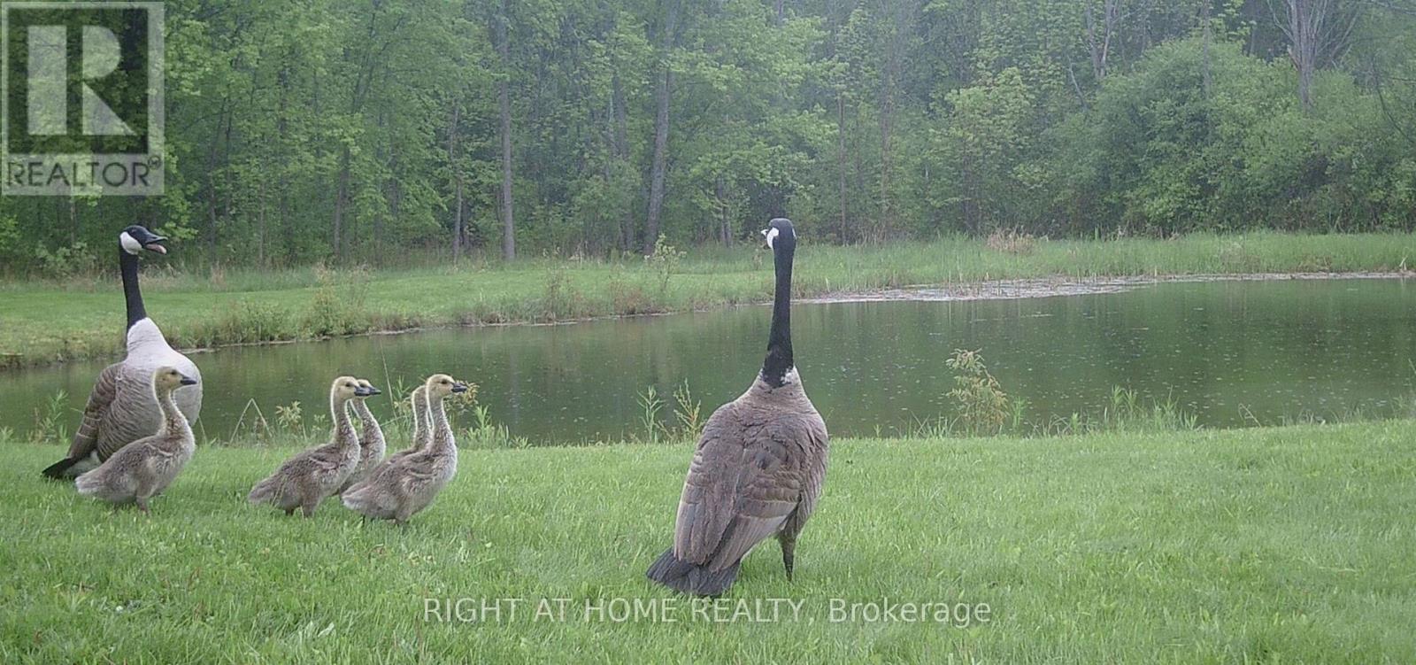 39 Fish And Game Club Road, Quinte West, Ontario  K0K 2B0 - Photo 49 - X12849278