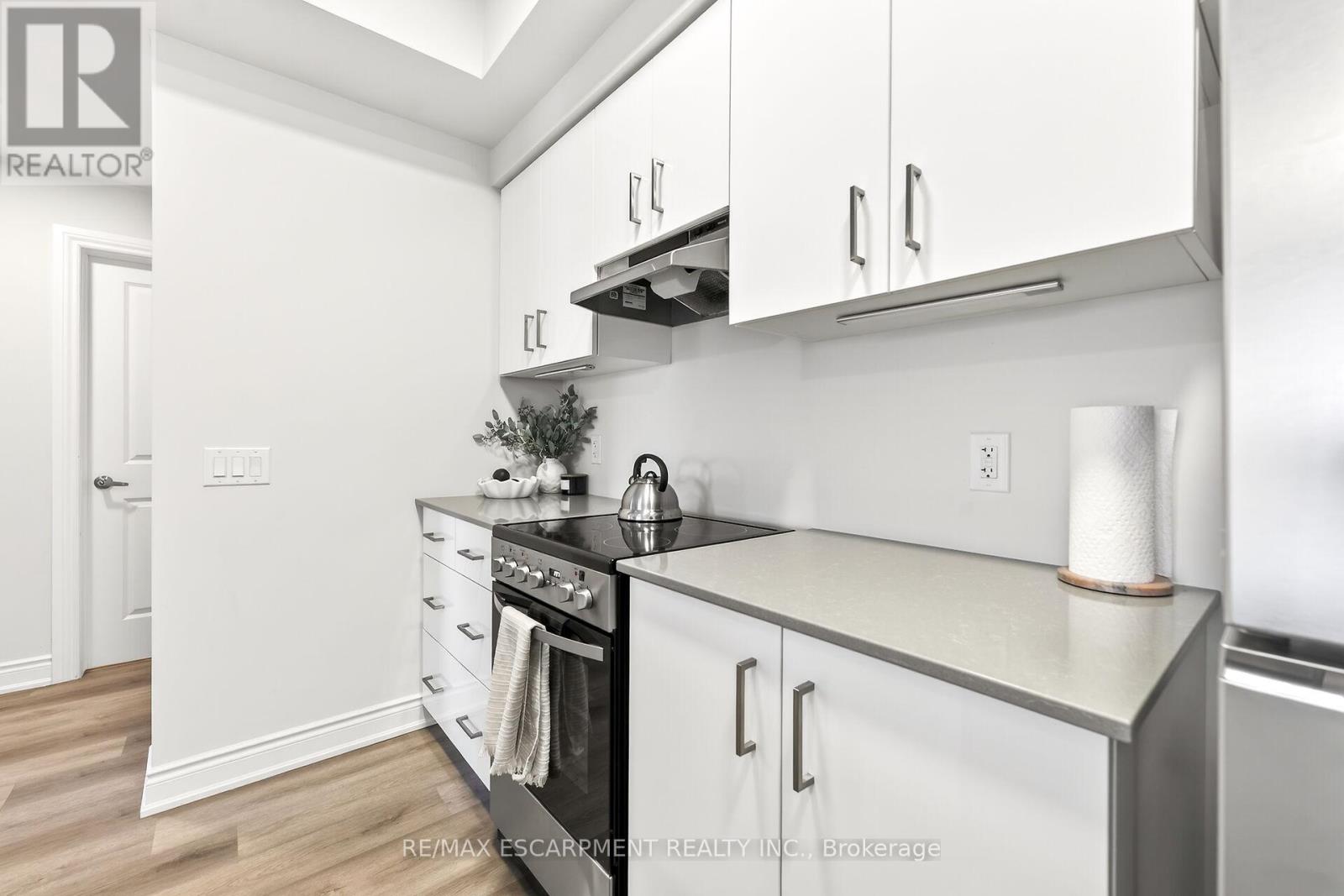 303 - 259 King Street E, Hamilton, Ontario  L8G 1L9 - Photo 11 - X12849390