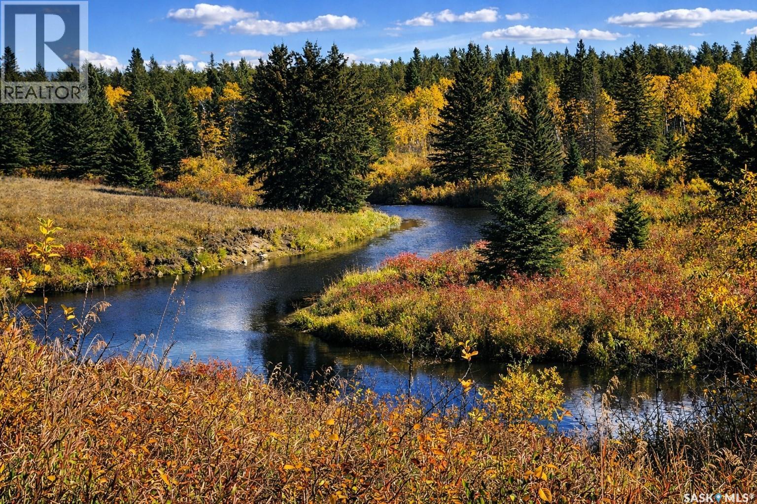 Sturgeon Valley Ranch, Shellbrook Rm No. 493, Saskatchewan  S0J 2E0 - Photo 47 - SK028548