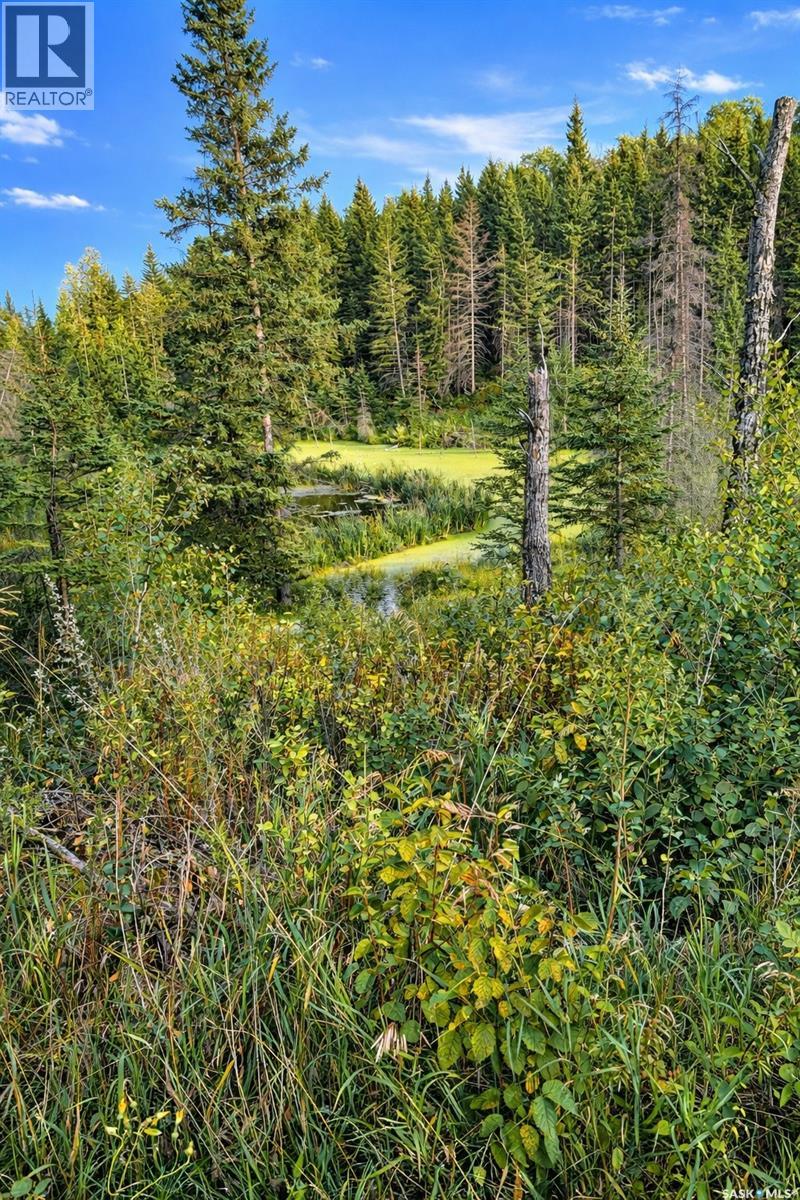 Sturgeon Valley Ranch, Shellbrook Rm No. 493, Saskatchewan  S0J 2E0 - Photo 40 - SK028548