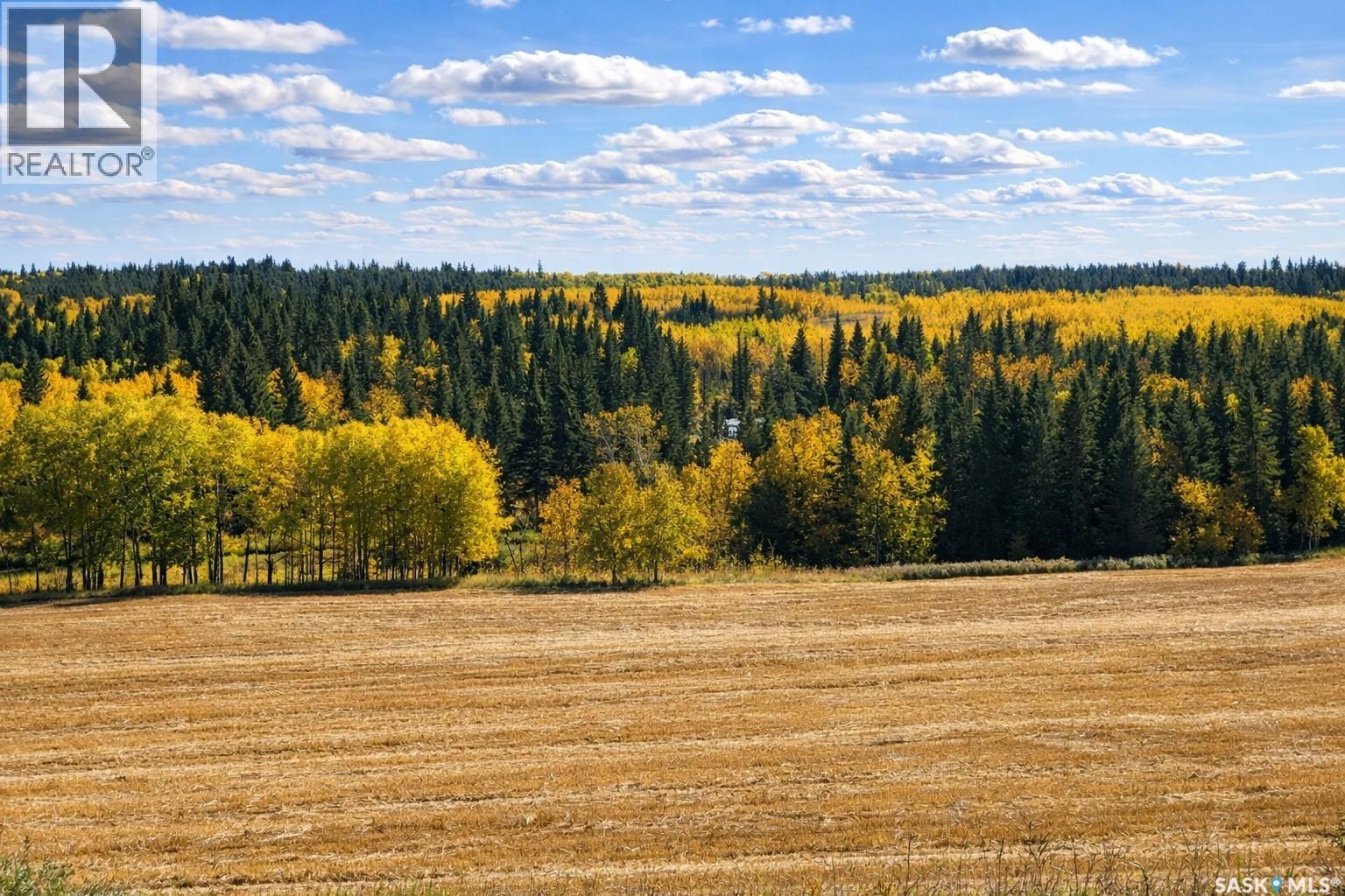 Sturgeon Valley Ranch, Shellbrook Rm No. 493, Saskatchewan  S0J 2E0 - Photo 44 - SK028548