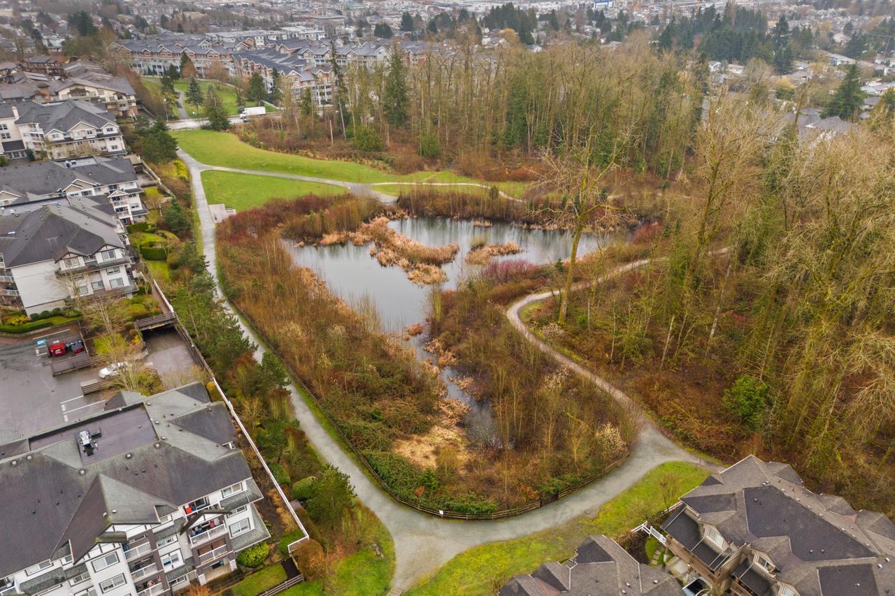 60 19250 65 Avenue, Surrey, British Columbia  V4N 5R7 - Photo 33 - R3096512