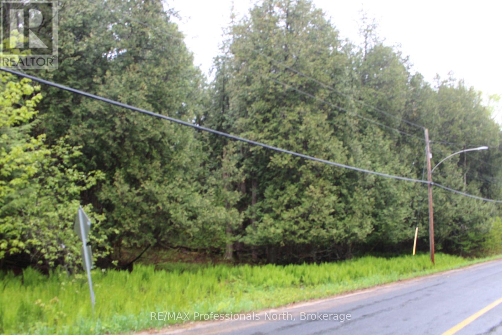 Tbd Kashagawigamog Lake Road, Minden Hills, Ontario K0M 2K0 - Photo 2 - X12849844