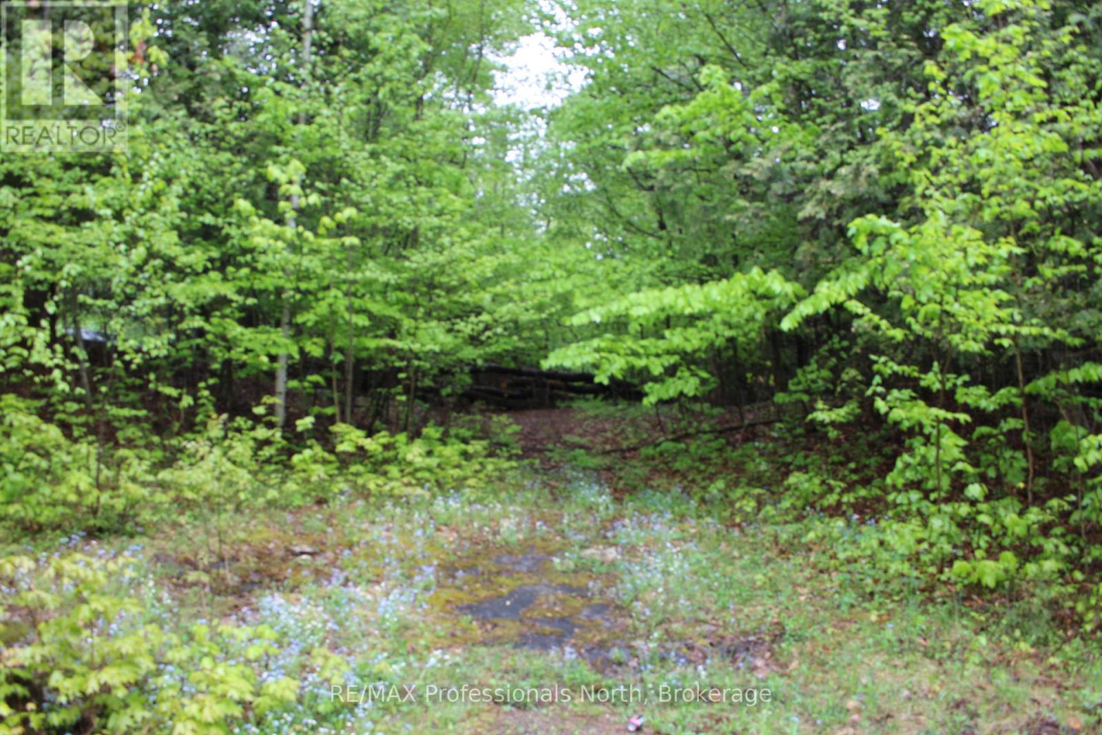 Tbd Kashagawigamog Lake Road, Minden Hills, Ontario K0M 2K0 - Photo 4 - X12849844