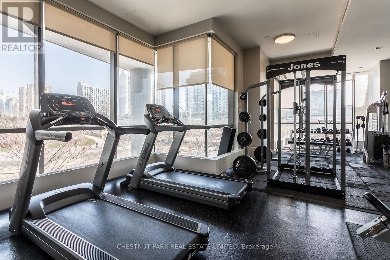 205 - 11 Brunel Court, Toronto, Ontario  M5V 3Y3 - Photo 19 - C12849780