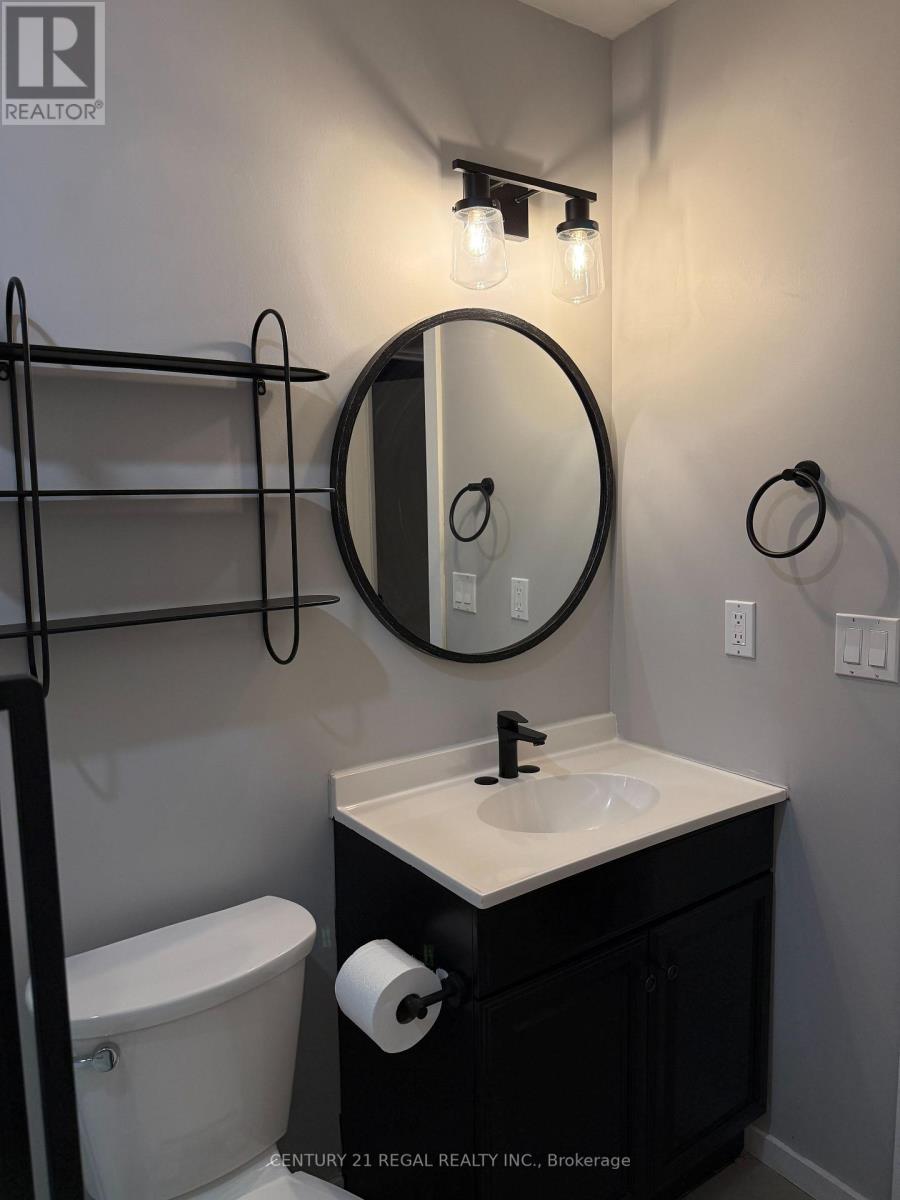 Main - 257 Silverbirch Drive, Newmarket, Ontario  L3Y 2Z6 - Photo 25 - N12793002