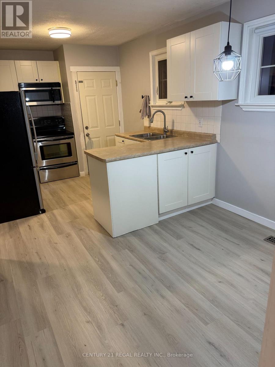 Main - 257 Silverbirch Drive, Newmarket, Ontario  L3Y 2Z6 - Photo 6 - N12793002