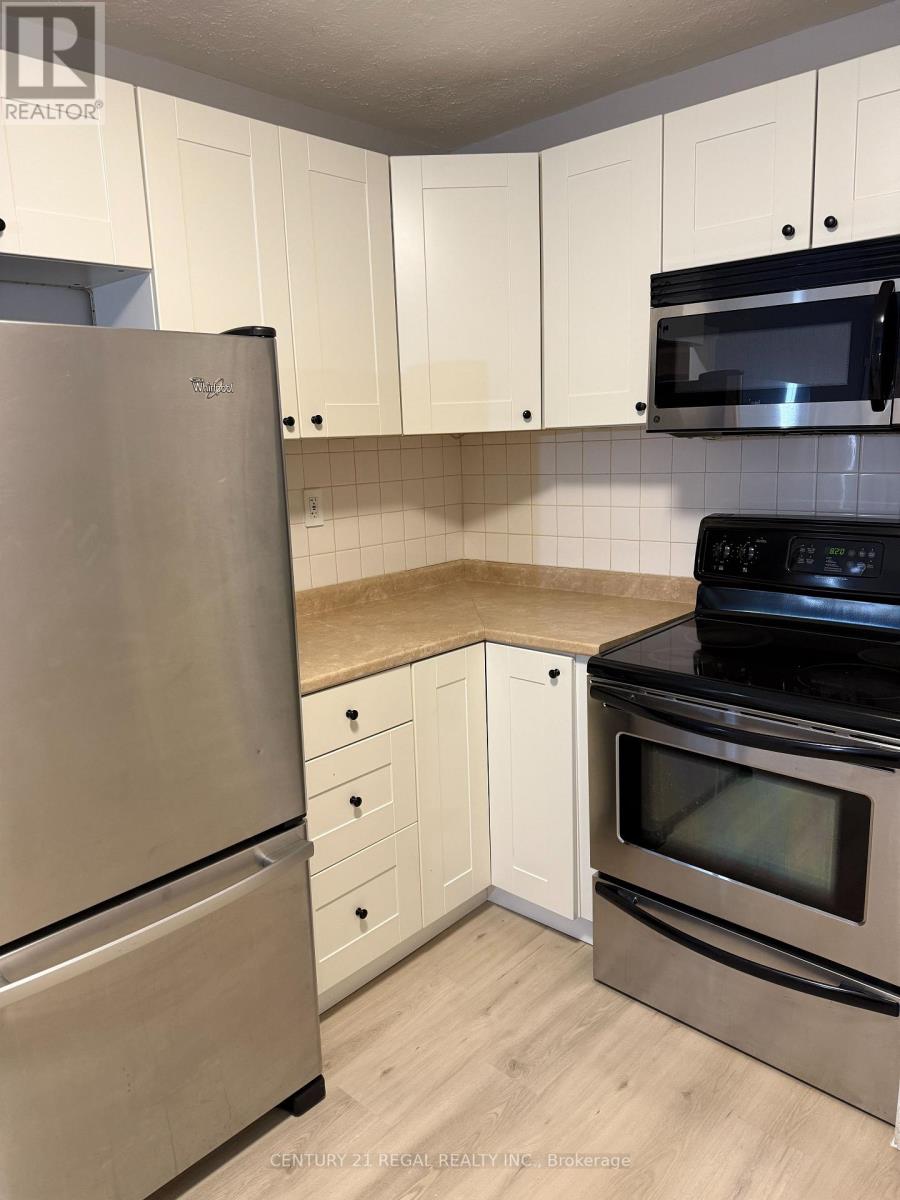 Main - 257 Silverbirch Drive, Newmarket, Ontario  L3Y 2Z6 - Photo 7 - N12793002