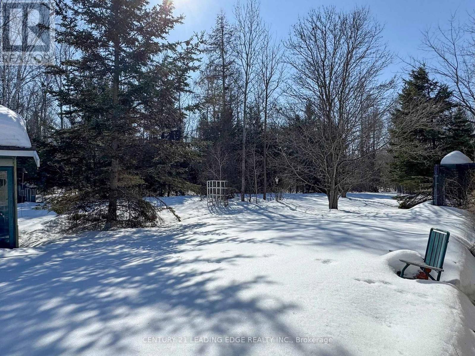 3525 Pollock Road E, Georgina, Ontario  L4P 0P6 - Photo 29 - N12849832