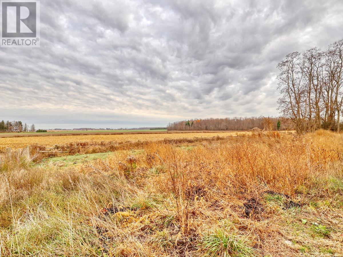 9907 Littlewood Drive, Middlesex Centre, Ontario  N6P 1P3 - Photo 48 - X12850096