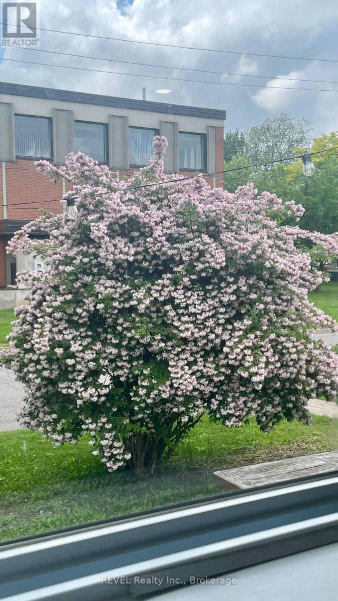 141 Douglas Street, Fort Erie, Ontario  L2A 6V3 - Photo 27 - X12850036