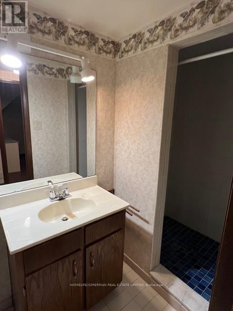 Basement - 145 Pemberton Road, Richmond Hill, Ontario  L4C 3T6 - Photo 3 - N12849916