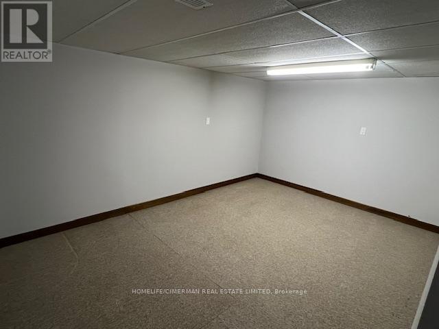 Basement - 145 Pemberton Road, Richmond Hill, Ontario  L4C 3T6 - Photo 4 - N12849916