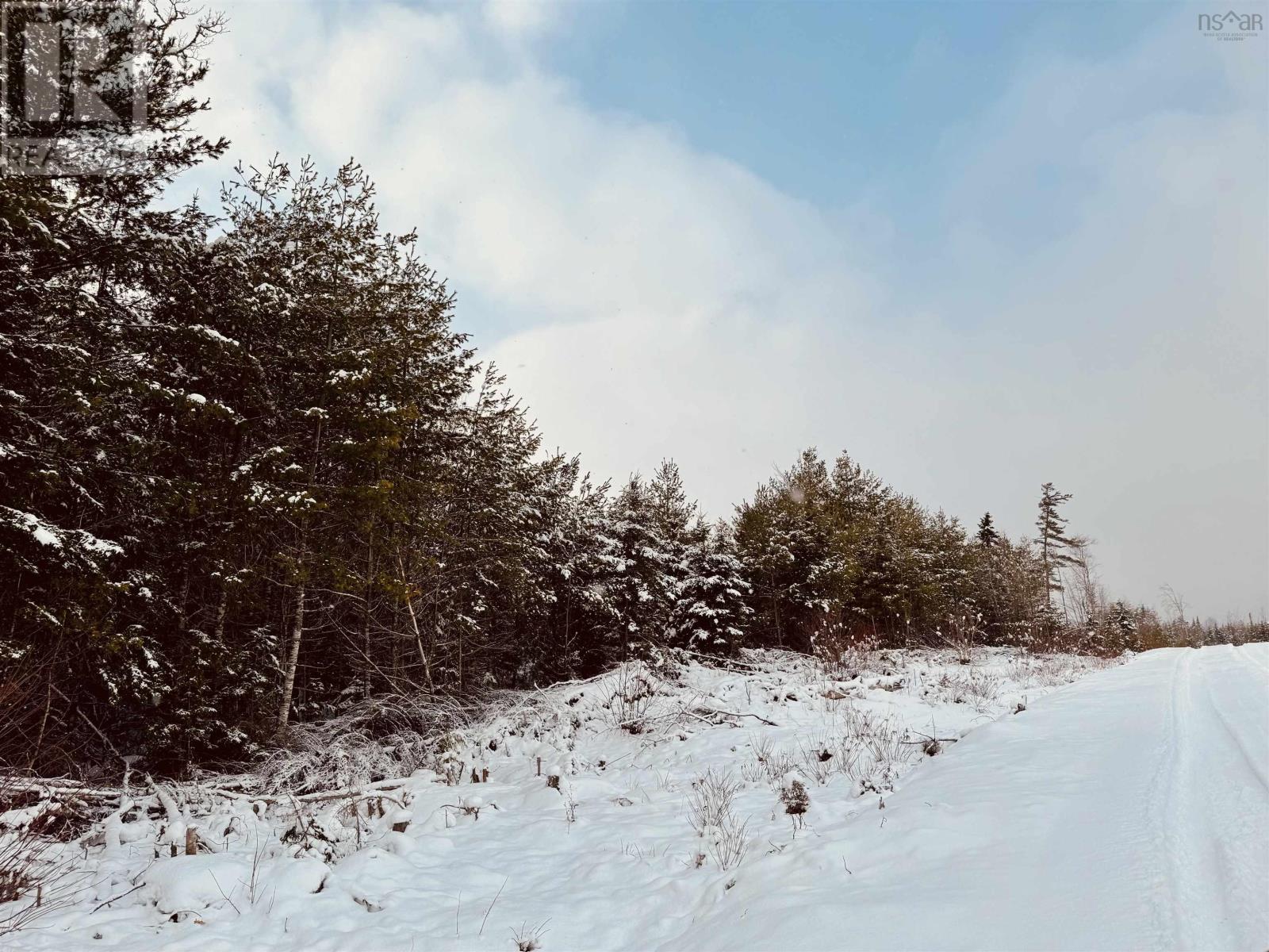 Rosette Road, Albany New, Nova Scotia  B0T 1B0 - Photo 4 - 202601302