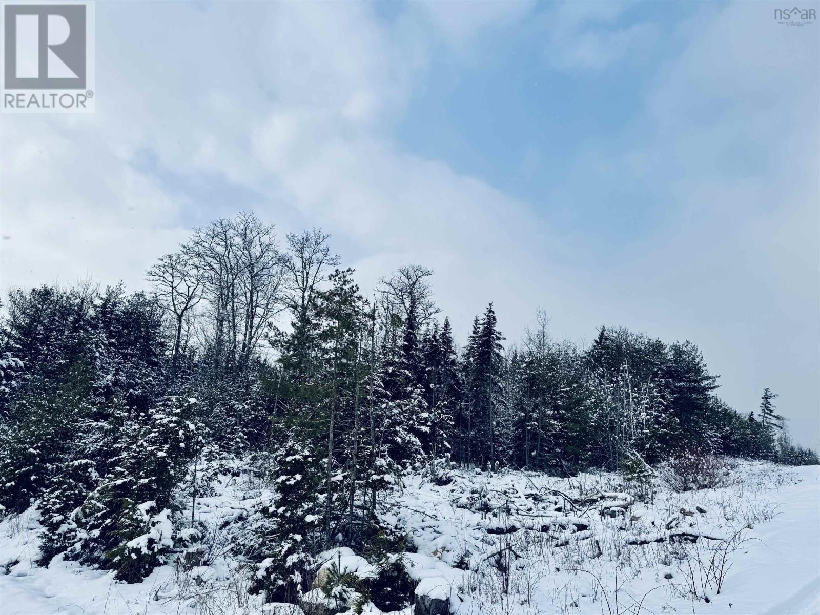 Rosette Road, Albany New, Nova Scotia  B0T 1B0 - Photo 3 - 202601302