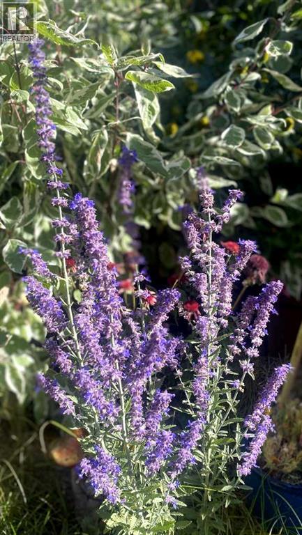 213 Mt Blakiston Road W, Lethbridge, Alberta  T1K 6M3 - Photo 38 - A2286446