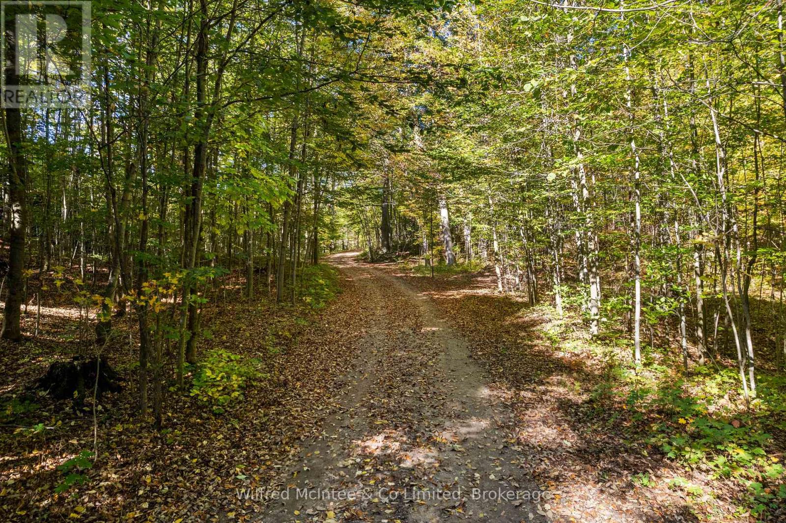 302148 Con 2 Sdr, West Grey, Ontario  N4N 3B8 - Photo 6 - X12850196