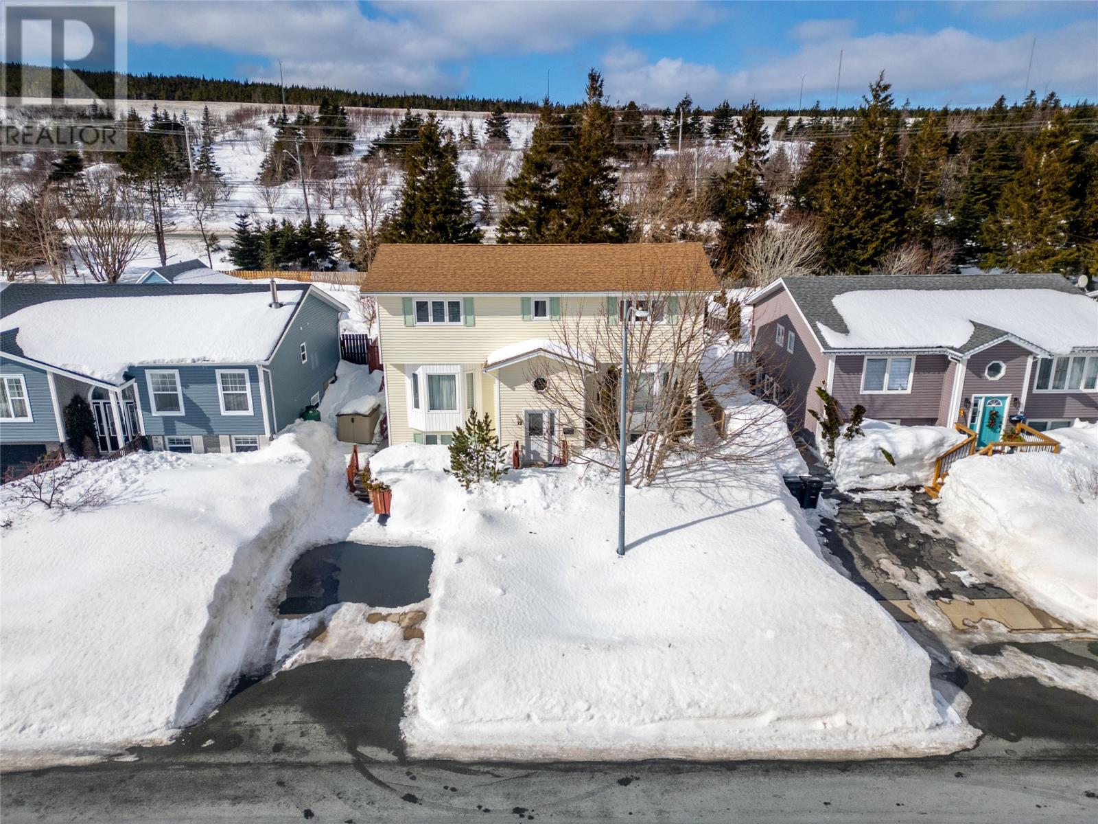12 Bellevue Crescent, St John's, Newfoundland & Labrador  A1E 5T6 - Photo 28 - 1294971