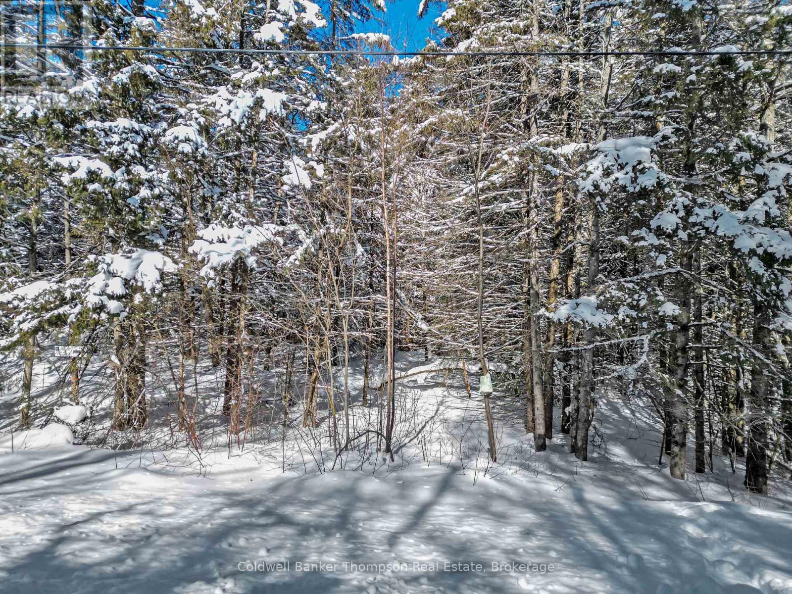 Lot 3 Stoney Road, Armour, Ontario  P0A 1C0 - Photo 3 - X12849554