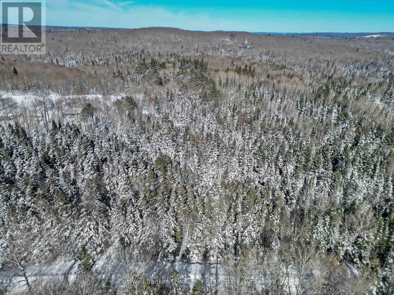 Lot 3 Stoney Road, Armour, Ontario  P0A 1C0 - Photo 6 - X12849554