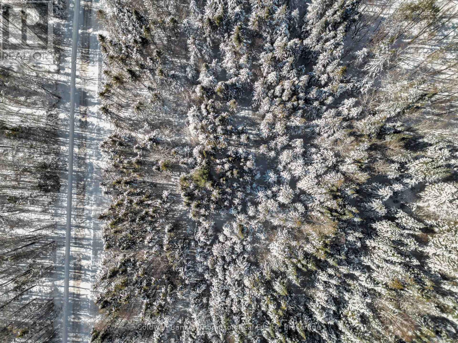 Lot 3 Stoney Road, Armour, Ontario  P0A 1C0 - Photo 7 - X12849554