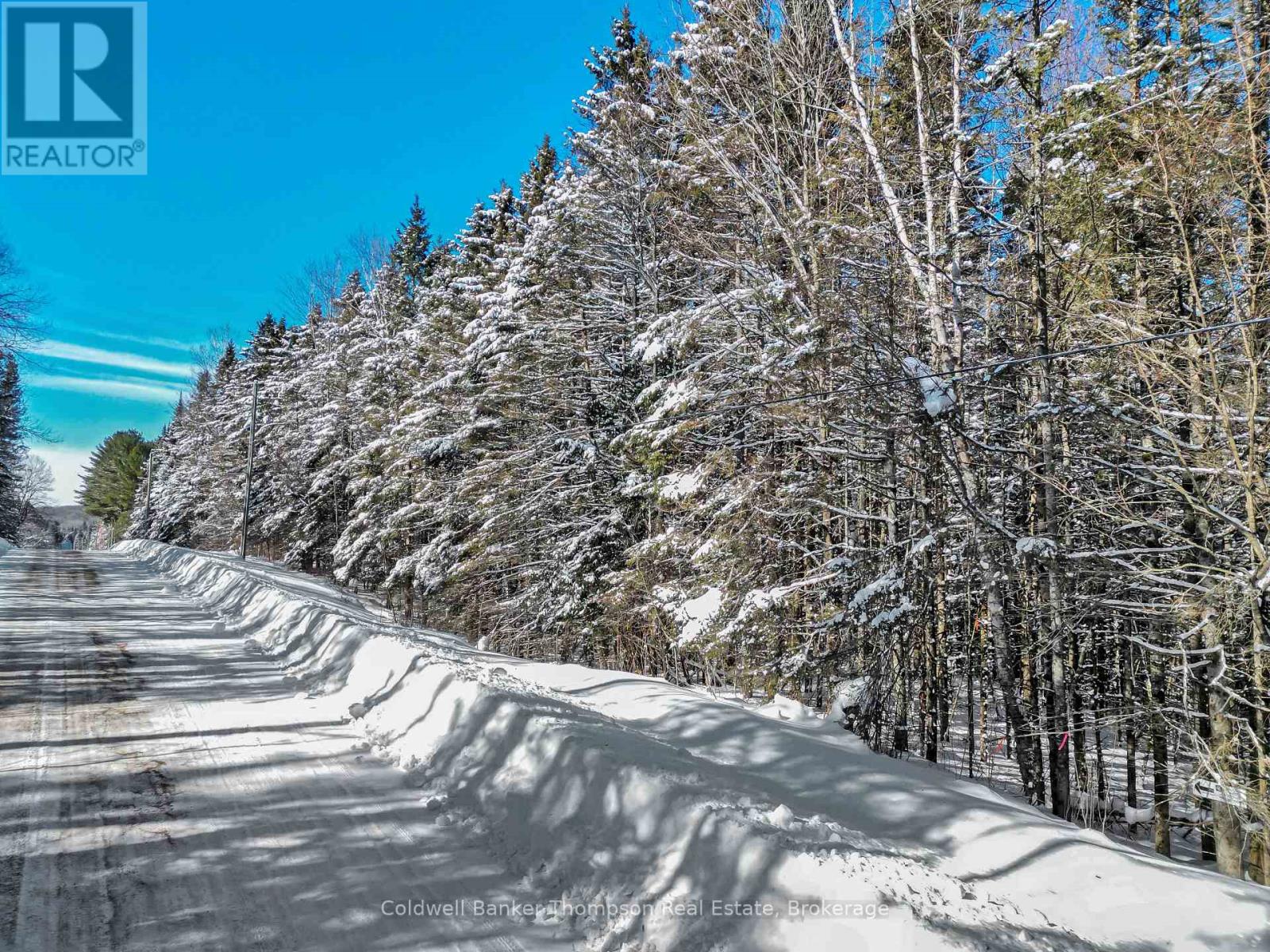 <div class="slider-price">$99,000</div><p>Lot 3 Stoney Road, Armour, Ontario</p>