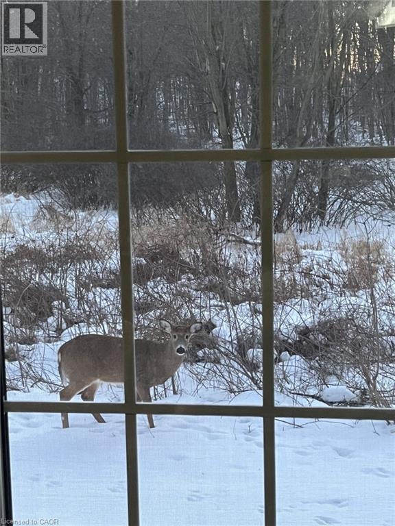 50 Bryan Court Unit# 31, Kitchener, Ontario  N2A 4N4 - Photo 48 - 40809347